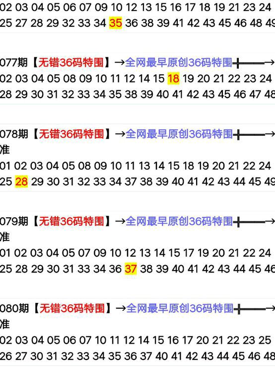 2024年新版49碼表圖,穩固執行戰略分析_XSR9.168黑科技版
