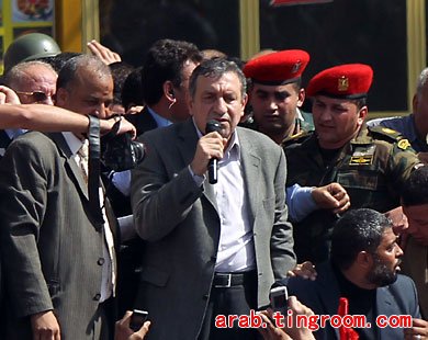 今日埃及新聞回顧，沙漠中的溫馨日常報(bào)道最新消息