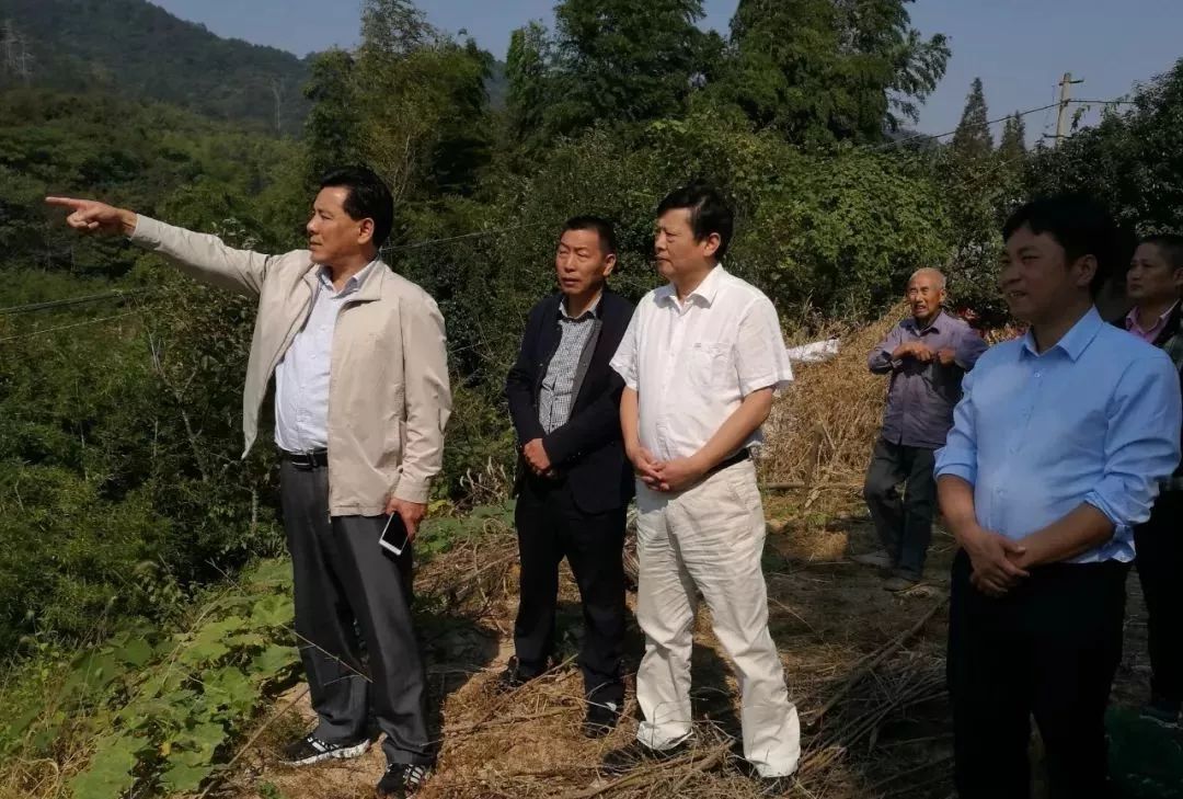 桐城汪革新最新消息,桐城汪革新最新消息，觀點論述