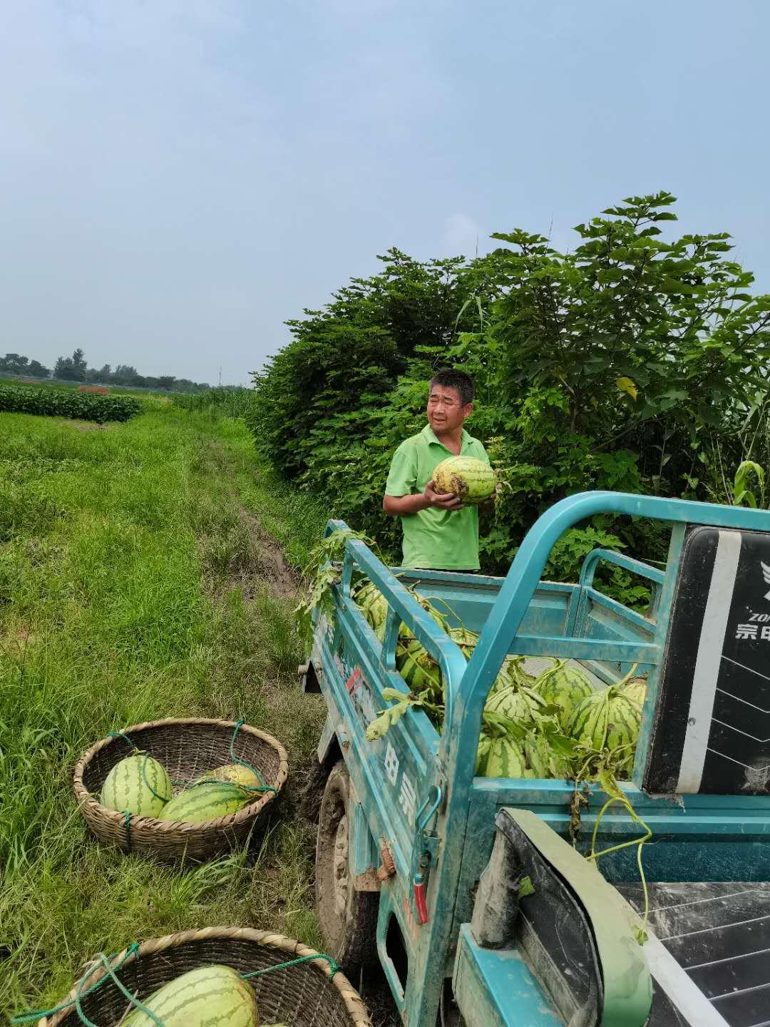 五A添盛坊青稞原漿 第473頁