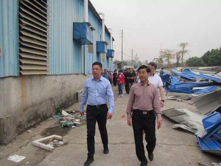 番禺區最新領導班子,番禺區最新領導班子,引領變革,鑄就未來