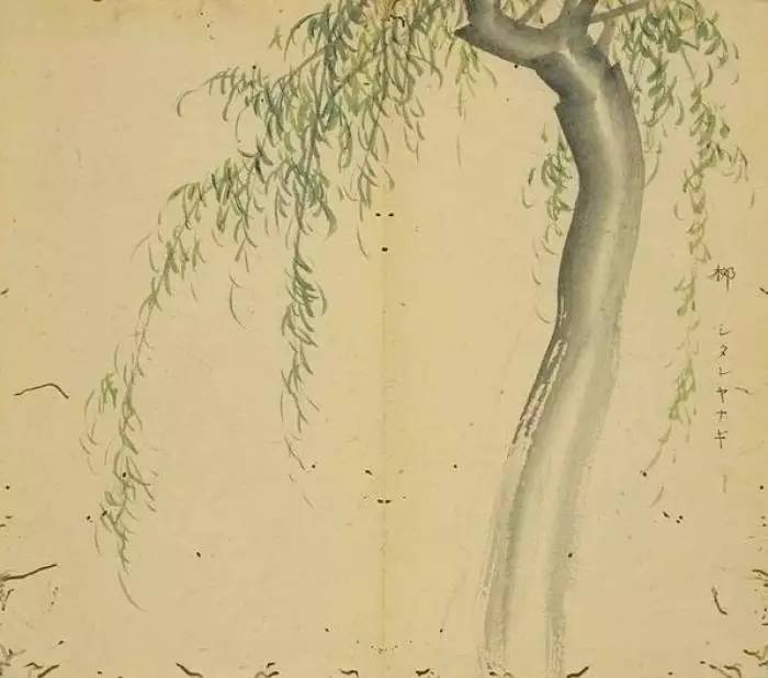 盛夏采薇教你從零開始學手工藝品制作——初學者與進階的綜合指南