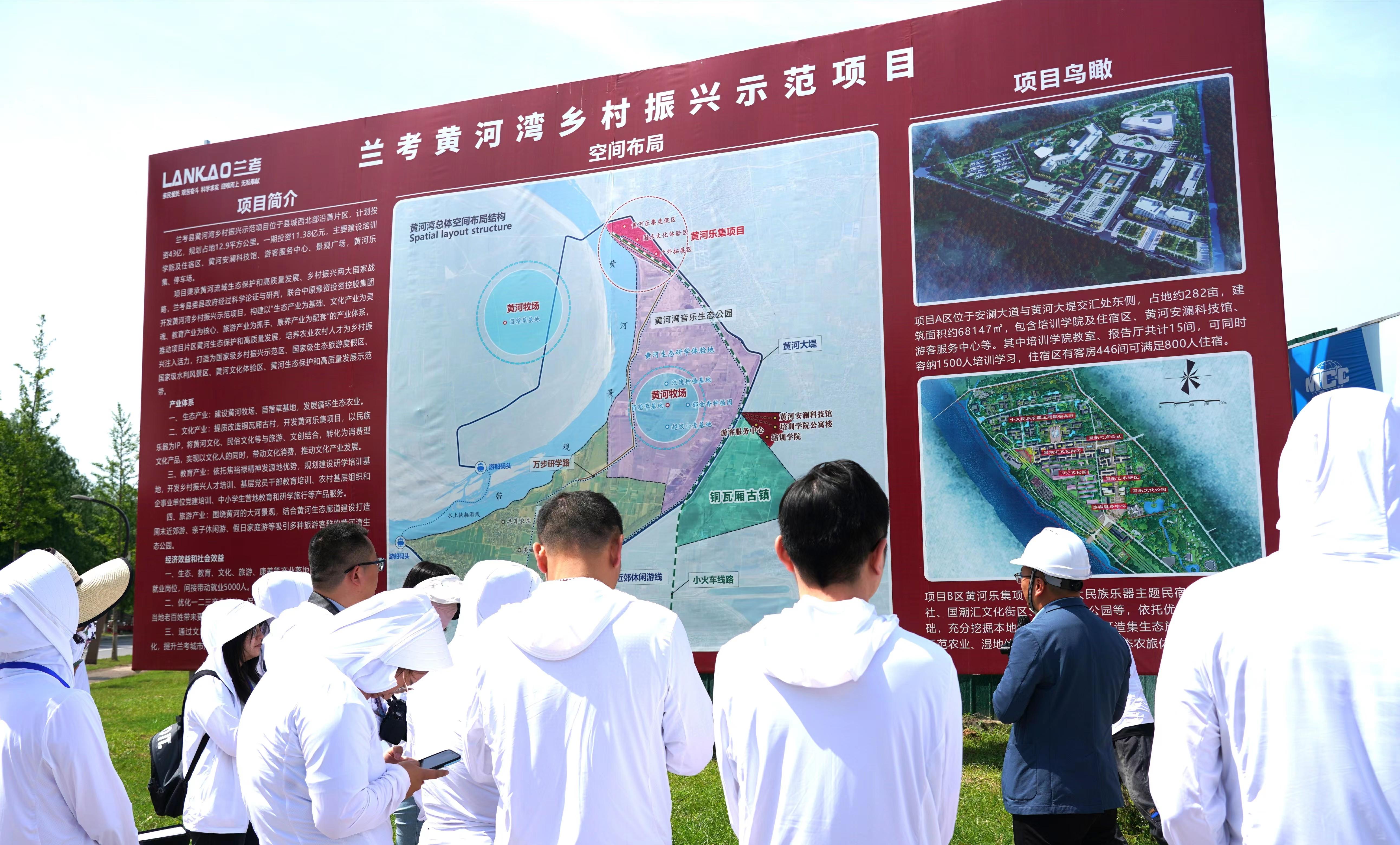 棕櫚股份股票最新動態(tài)更新,最新消息匯總