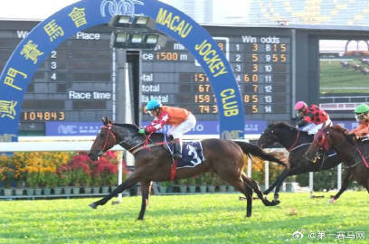 馬會傳真資料澳門,具象化表達解說_專屬版14.123