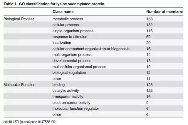 廣東二八網站資料站,精細化實施分析_家庭影院版46.574