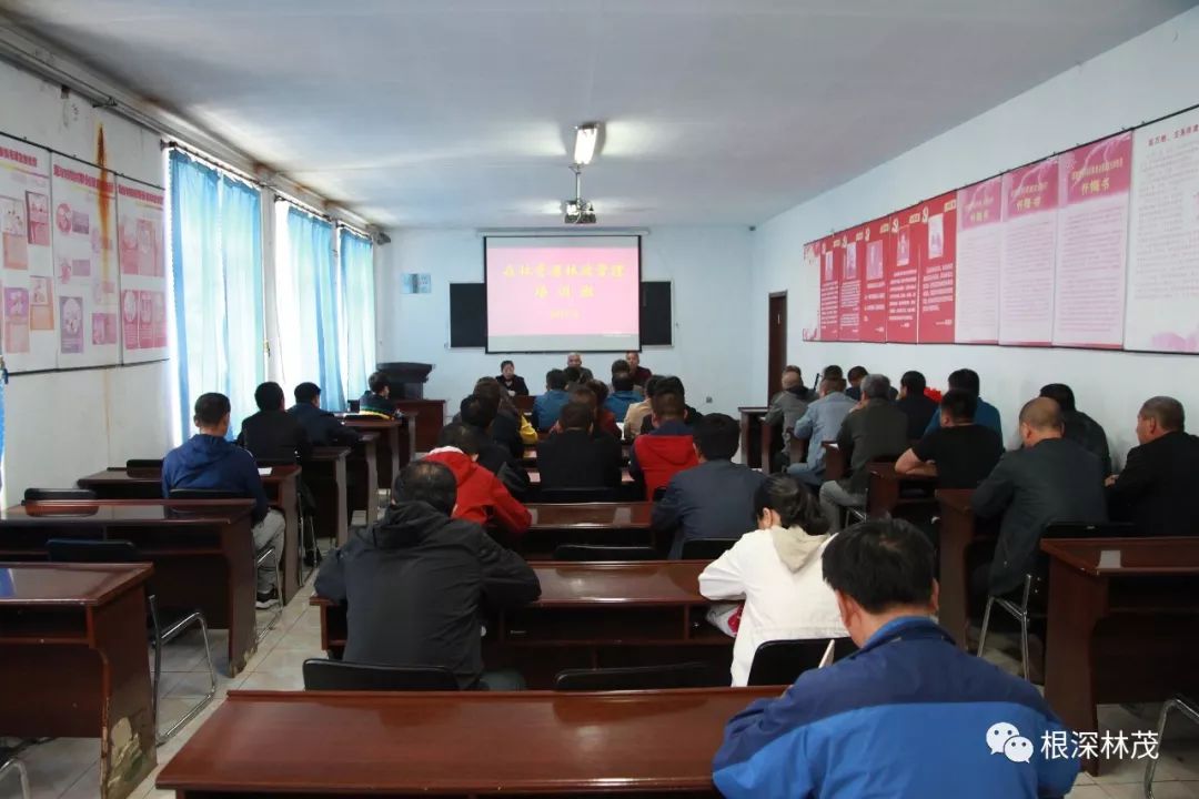 宅急送新篇章，速度與親情的融合最新資訊