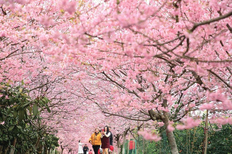 二月南山集團最新動態全解析，指南與步驟詳解