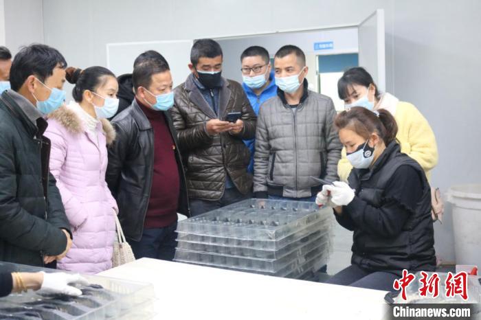 南縣工廠招聘最新信息及深度分析與個人觀點分享