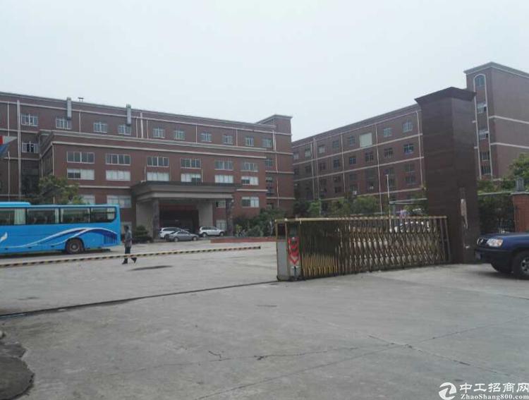 開封獨(dú)院急售最新消息，故事中的奇遇與家的溫馨紐帶