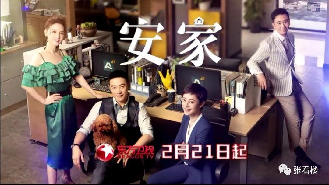 張萌與田雷最新電視劇，時代之聲的震撼呈現，劇情深度揭秘！