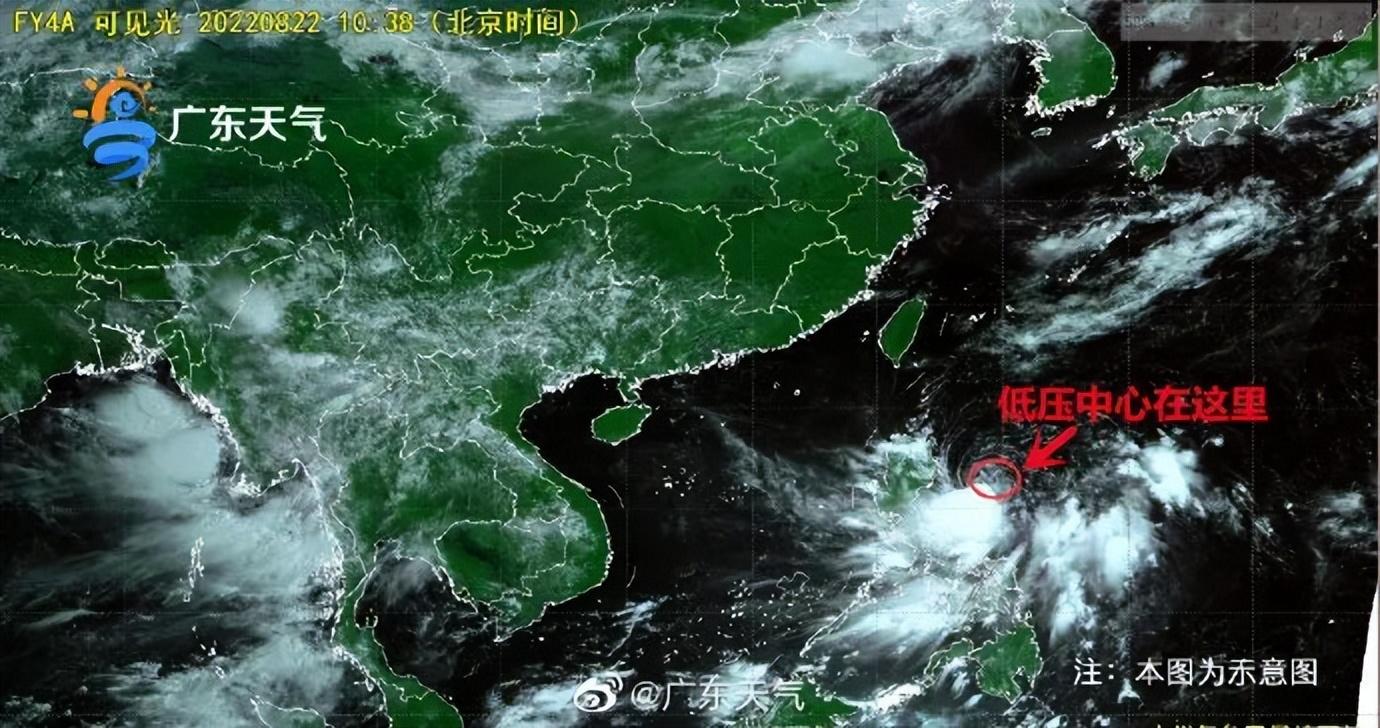 香港今晚必開一肖,標準執行具體評價_趣味版82.998