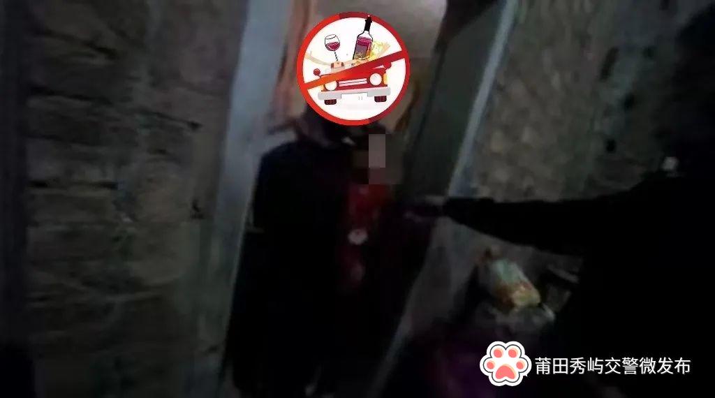 莆田車牌號最新號段，一段友情與陪伴的溫馨故事