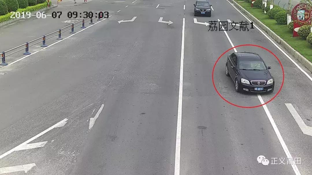 莆田車牌號最新號段,一段友情與陪伴的溫馨故事