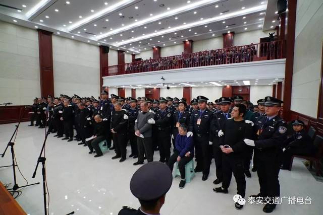 新泰張宸最新消息大全,初學者與進階用戶獲取指南