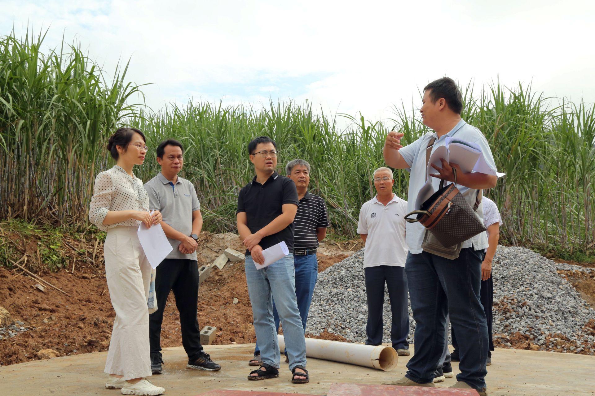 上林喬賢最新新聞事件，自然美景探索之旅的治愈力量