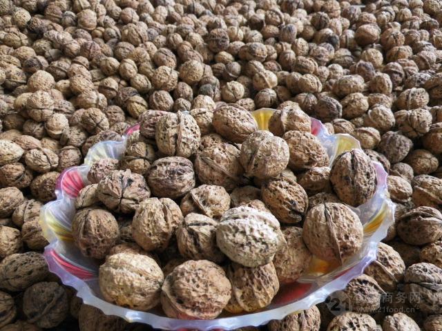 核桃最新批發價格揭秘，小巷深處的寶藏探秘之旅