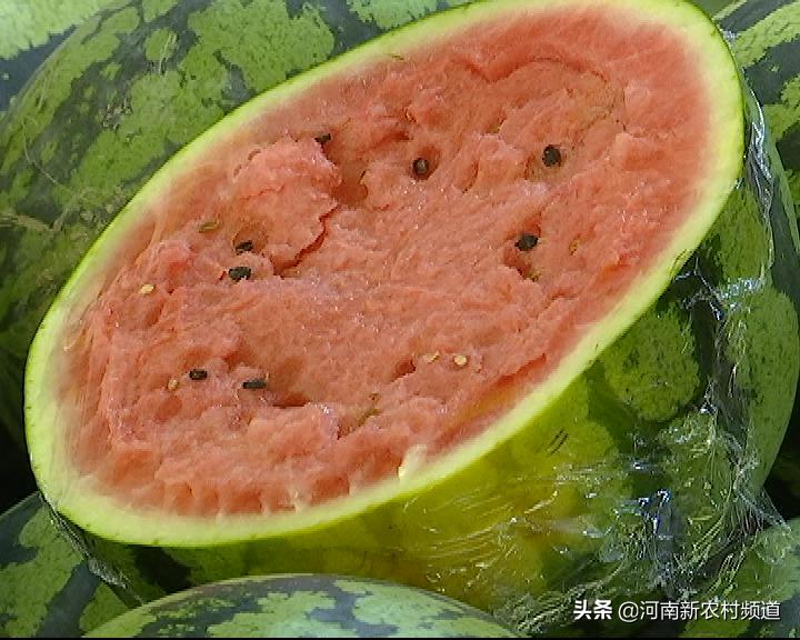 河南西瓜今日價格行情揭秘，一場綠色之旅探尋內心平靜