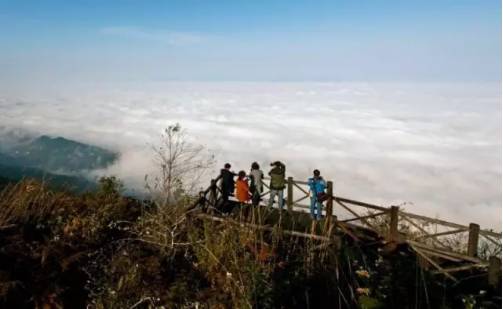 石柱楓木鄉最新動態更新,最新消息匯總