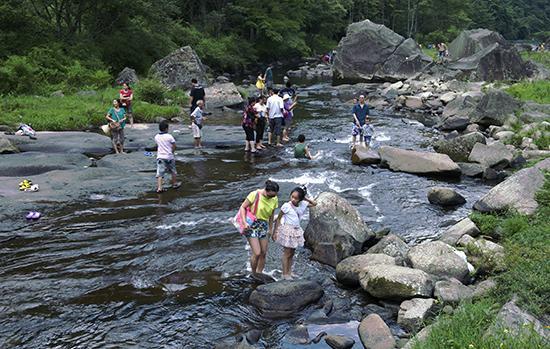 石柱楓木鄉最新動態更新,最新消息匯總