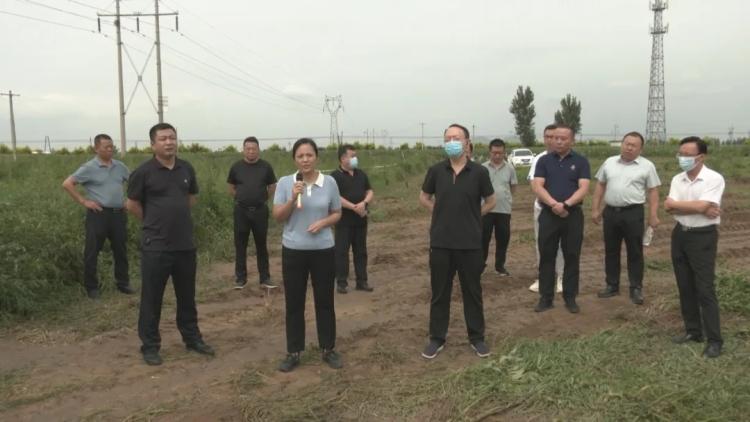 秦皇島拆違建最新動(dòng)態(tài)，日常故事揭秘違建拆除進(jìn)展