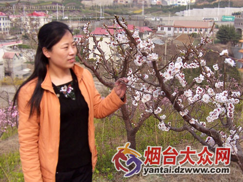 煙臺(tái)姚秀霞的最新去向揭秘