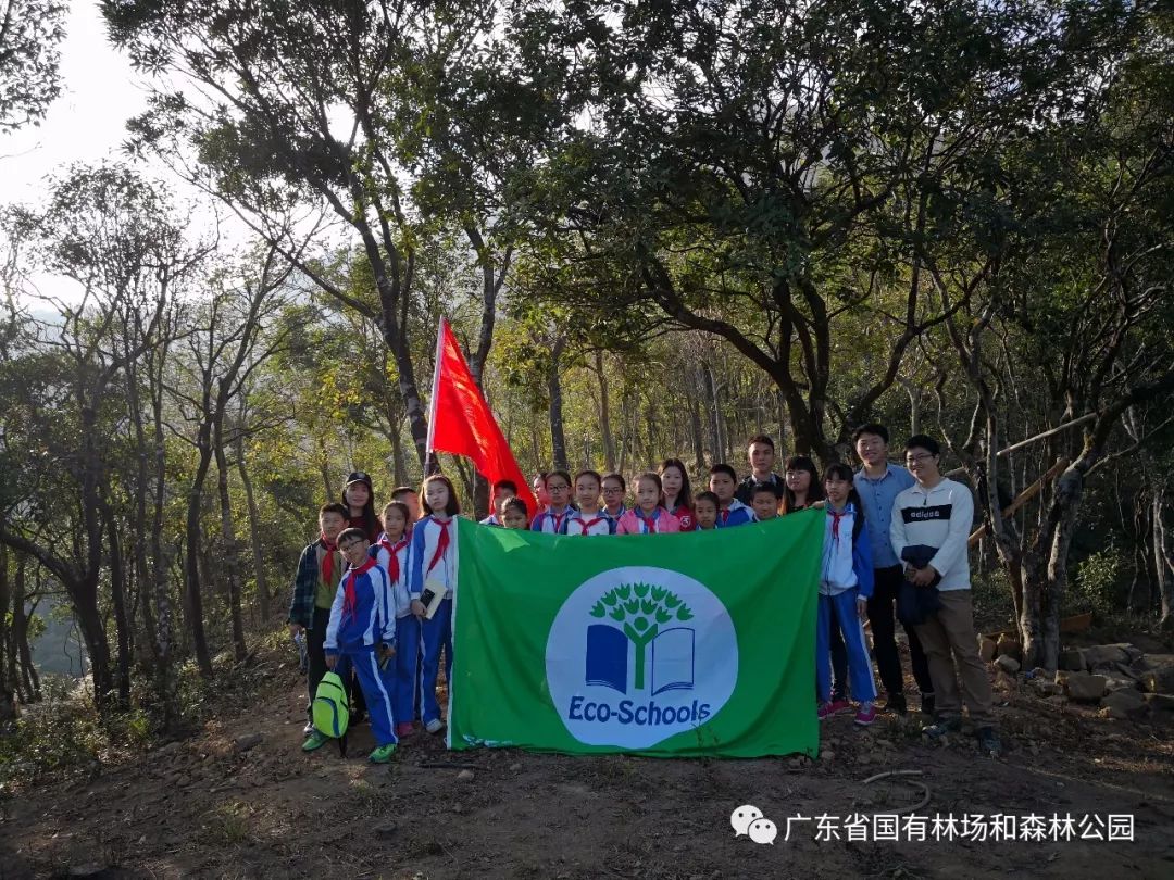 阜新林場改革最新進展,小巷深處的綠色變革與隱藏瑰寶