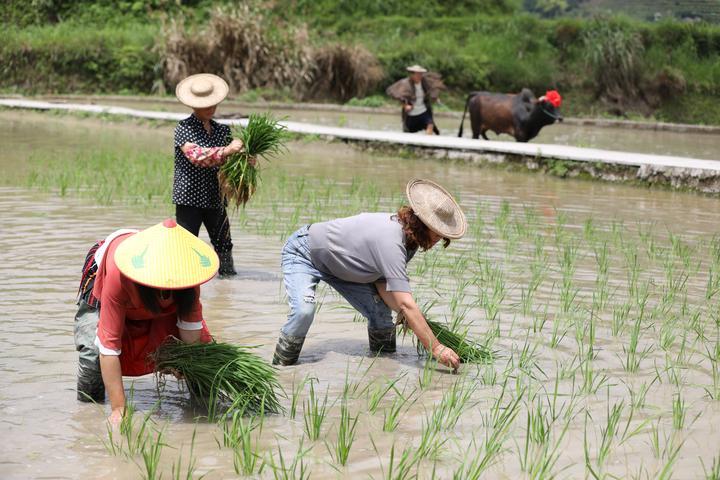 青田司法局房屋拍賣最新動(dòng)態(tài)更新