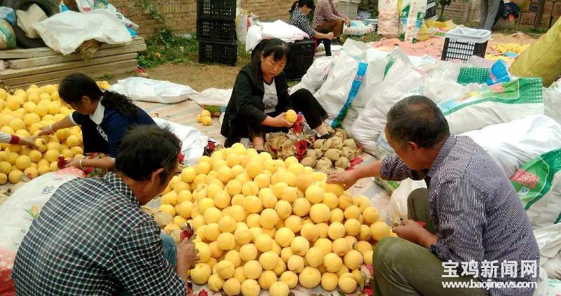 扶風(fēng)法門(mén)高中，教育新篇章的開(kāi)啟