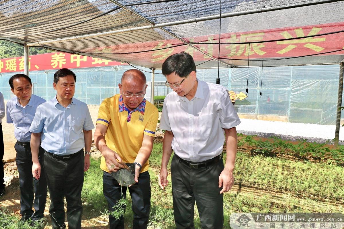 都安新聞最新動態,小城里的溫馨日常故事