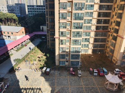 南陽天海金苑最新動態，小巷中的獨特風情展現