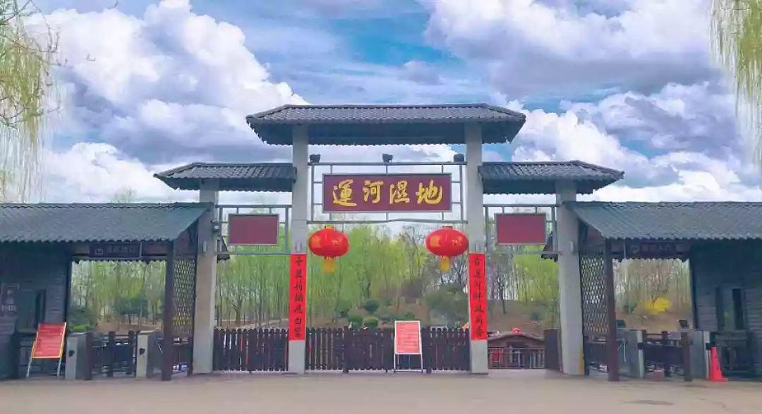 宿遷運河春天最新動態更新，最新消息一覽