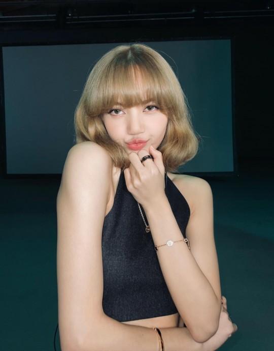 Blackpink新成員揭秘,獨(dú)特魅力與音樂(lè)之旅的探尋