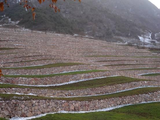 劉豐最新,時代之光下的杰出人物風采