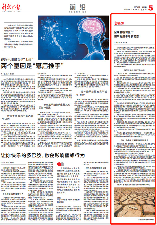 最新研究網，探索科技前沿，引領未來趨勢之舟