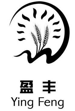 盈豐最新動態,引領未來的金融力量閃耀登場