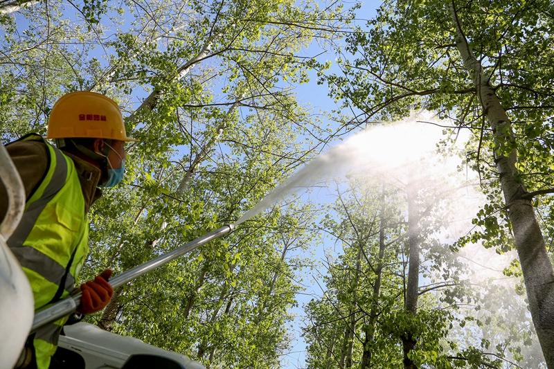 探索禁令背后的深層意義，最新禁令滿天引發思考