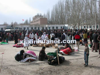 巴楚地震最新動(dòng)態(tài),全面解讀地震進(jìn)展與救援最新消息