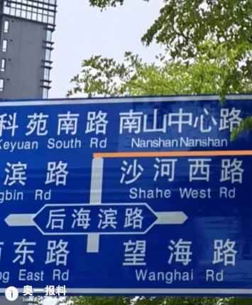 深圳最新翻譯步驟指南詳解