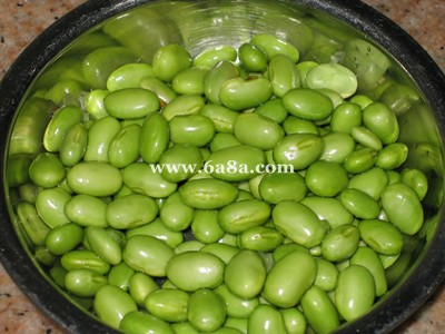 彩豆最新,數(shù)字世界的璀璨新星探索