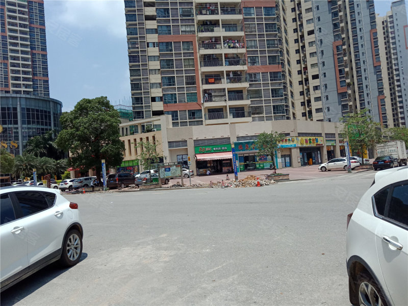 最新大旺，深度觀點闡述與解析