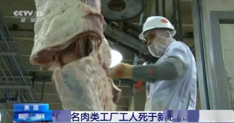 最新肉類疫情下的日常生活感悟