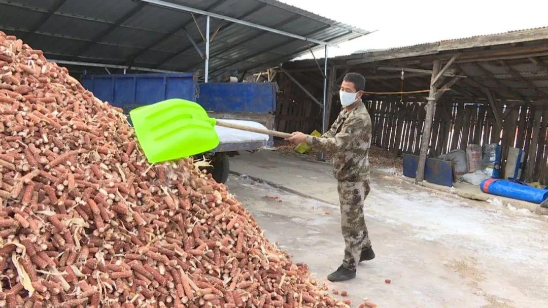 科技守護未來，革新生活體驗，最新疫情動態與應對策略