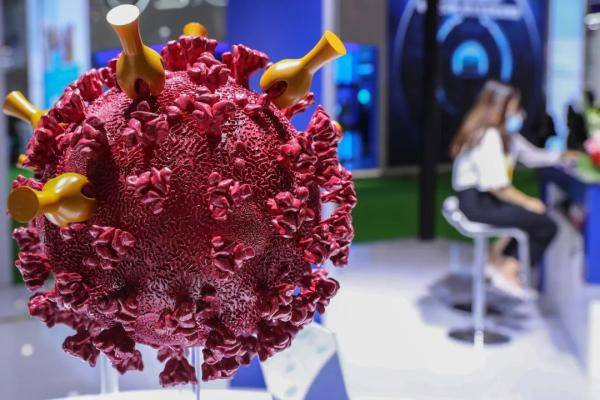 法國病毒最新，一場意外的溫馨之旅探索