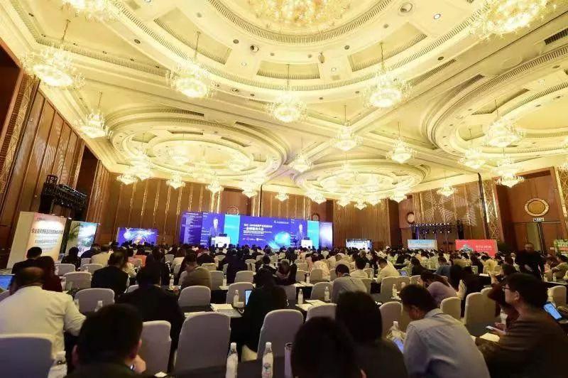 破殼展翅，最新禽類的勵志成長故事