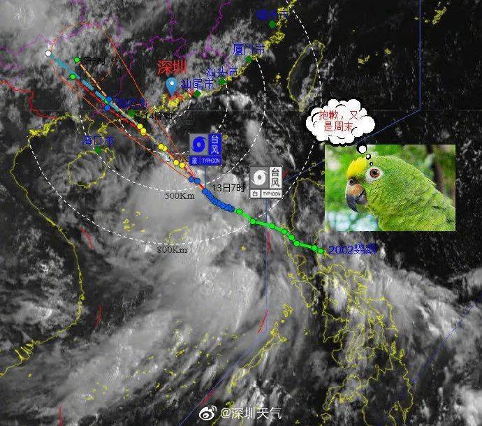 最新臺風鸚鵡，全面解讀與案例分析報告