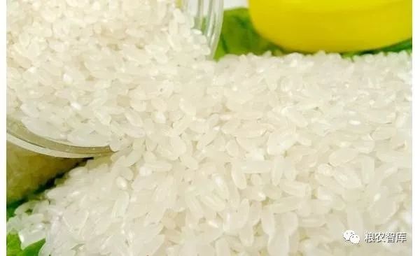 科技重塑稻米市場,最新大米價格與未來生活新體驗