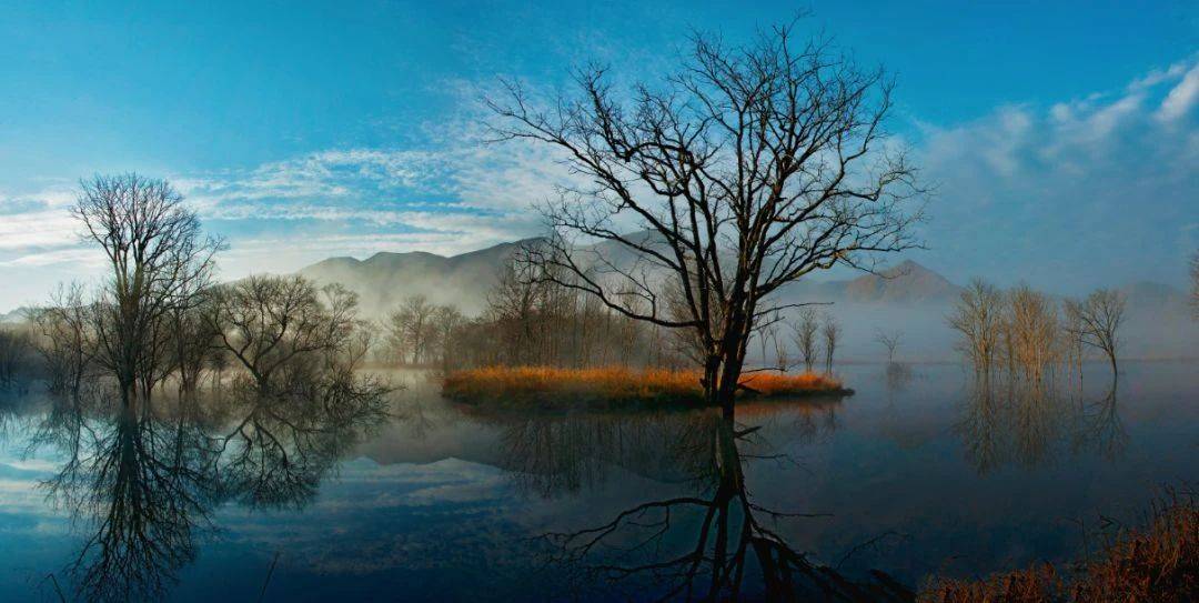 五A添盛坊青稞原漿 第372頁