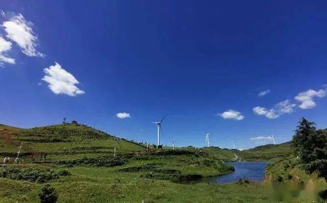 烏蒙山大草原最新動態及探索揭秘