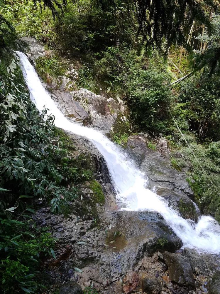 松瀑鎮最新版高科技產品介紹亮相，引領未來科技潮流！