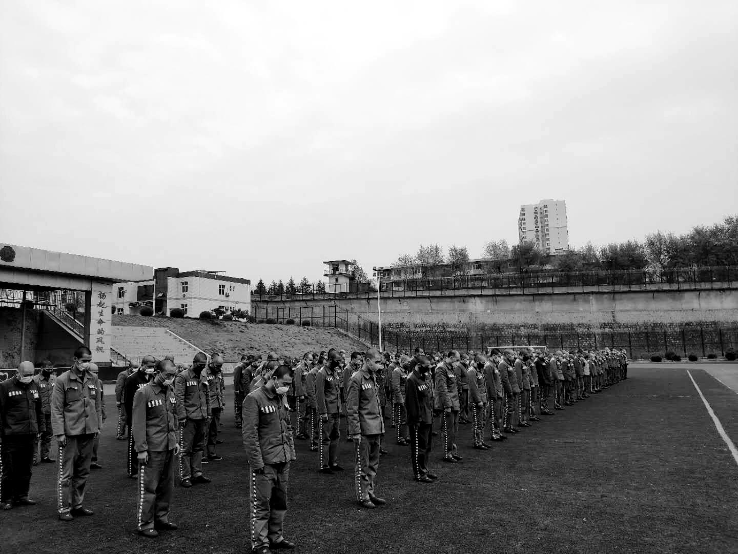 春暖花開之際,國內新冠肺炎疫情最新動態及共同守護家園的呼吁